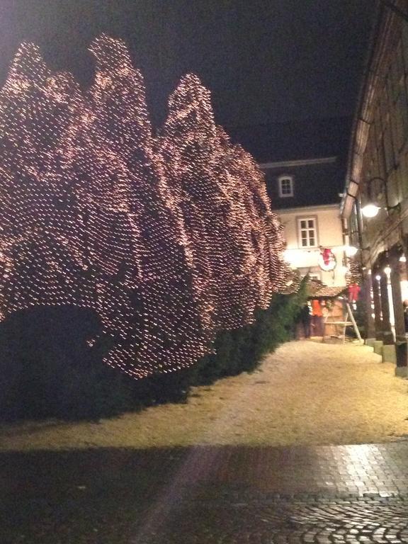 Hubertus Hof Hotel Goslar Kültér fotó